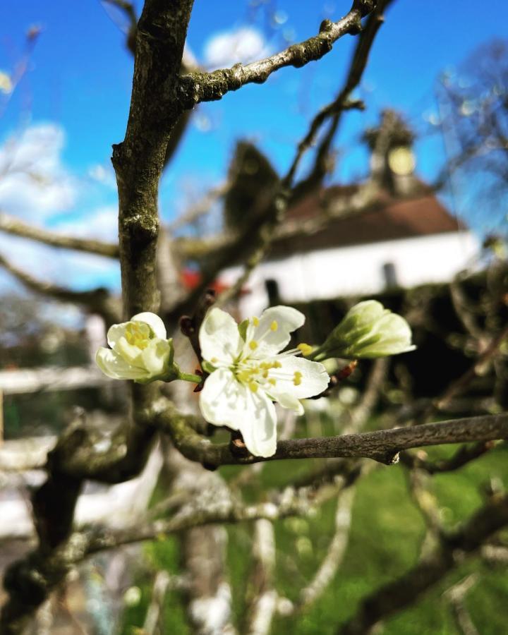 Dreher Hof Salem ซาเลม ภายนอก รูปภาพ